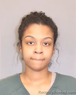 Mugshot of KALIESHA D LAWRENCE-HART booked in Salem County, New Jersey on April 2, 2026