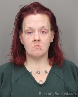 Mugshot of DAWN M MODELL booked in Salem County, New Jersey on April 3, 2026