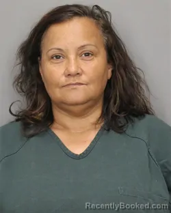 Mugshot of LINDA M JOHNSON booked in Salem County, New Jersey on April 3, 2026