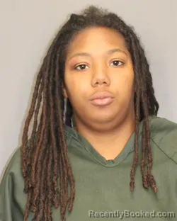 Mugshot of SHALYN R COLLINS booked in Salem County, New Jersey on April 5, 2026