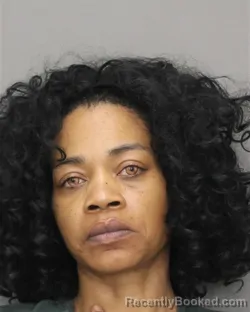 Mugshot of RASHIDA D DANIELS booked in Salem County, New Jersey on April 13, 2026