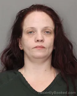 Mugshot of AMANDA N BRENNAN booked in Salem County, New Jersey on April 14, 2026