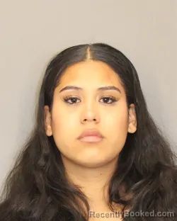 Mugshot of KRISTELL ITURRAL DEPALMA booked in Salem County, New Jersey on April 21, 2026