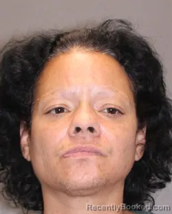 Mugshot of ANGELITA MEDINA booked in Salem County, New Jersey on April 21, 2026