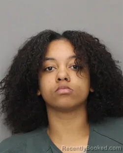 Mugshot of VIOLA J RAWLINS booked in Salem County, New Jersey on April 22, 2026