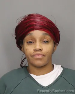 Mugshot of ASHLEY S NEDRICK booked in Salem County, New Jersey on April 25, 2026