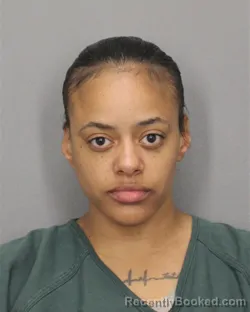 Mugshot of KENDYL B WILLIAMS booked in Salem County, New Jersey on April 25, 2026