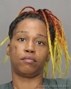 Mugshot of DESHAE SEGAR booked in Salem County, New Jersey on April 25, 2026