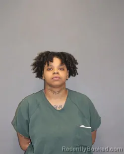 Mugshot of LABREA B COOPER booked in Salem County, New Jersey on April 26, 2026