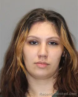 Mugshot of Emily Santiago