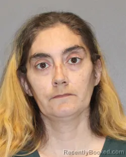 Mugshot of Nicole A Dinnen