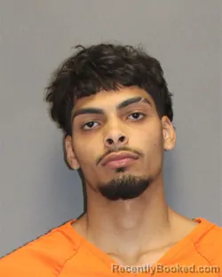 Mugshot of Luis Y Gonzalez