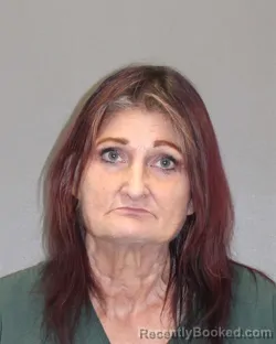 Mugshot of ALANA L TALLON booked in Salem County, New Jersey on May 14, 2026