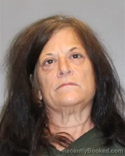 Mugshot of DONNA MILLER booked in Salem County, New Jersey on May 17, 2026