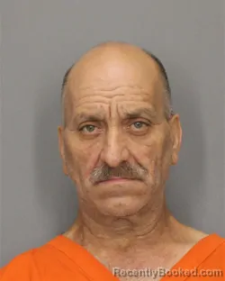 Mugshot of DINO CERRONE booked in Salem County, New Jersey on May 21, 2026