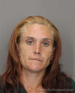 Mugshot of ELAINE M YATES booked in Salem County, New Jersey on May 21, 2026