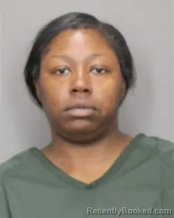 Mugshot of ABRIANA M WILKINS booked in Salem County, New Jersey on May 21, 2026
