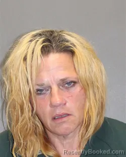 Mugshot of BARBARA A LUCHA booked in Salem County, New Jersey on May 26, 2026