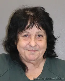Mugshot of TINA M MANCINI booked in Salem County, New Jersey on May 29, 2026