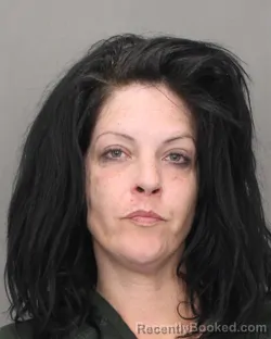 Mugshot of LISA R DAVIS booked in Salem County, New Jersey on June 5, 2026