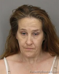 Mugshot of LYNNETTE T ALEXANDER booked in Salem County, New Jersey on June 12, 2026