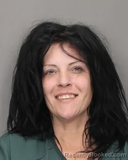 Mugshot of LISA DAVIS booked in Salem County, New Jersey on June 13, 2026