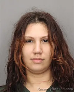 Mugshot of EMILY M SANTIAGO booked in Salem County, New Jersey on June 30, 2026