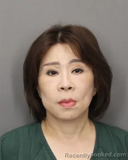 Mugshot of HEE SOO CHOI KYUNG booked in Salem County, New Jersey on July 8, 2026