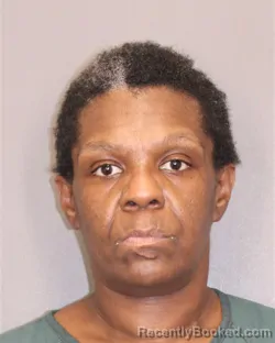Mugshot of DANIELLE Y JOHNSON booked in Salem County, New Jersey on July 10, 2026