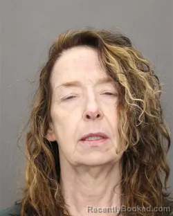 Mugshot of DONNA HILLER booked in Salem County, New Jersey on July 12, 2026