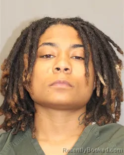 Mugshot of AIRICA L ORZECHOWSKI booked in Salem County, New Jersey on July 12, 2026