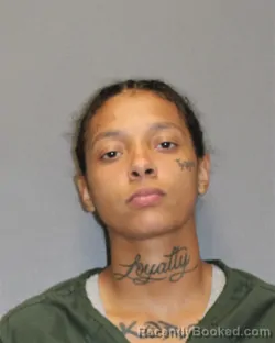 Mugshot of FRANCESCA D BLANTON booked in Salem County, New Jersey on July 13, 2026