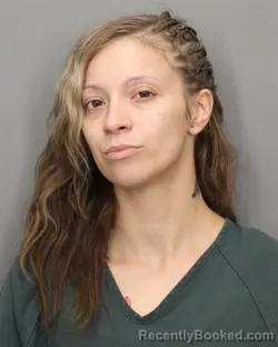 Mugshot of ALEXIS F CHICKELERO booked in Salem County, New Jersey on July 16, 2026