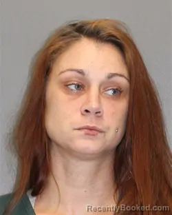Mugshot of SAMANTHA J FELICIANO booked in Salem County, New Jersey on July 19, 2026