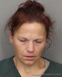 Mugshot of BRITTANY N DARDI booked in Salem County, New Jersey on July 22, 2026