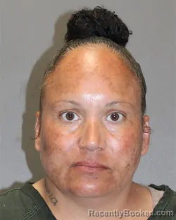 Mugshot of CLARISSA HICKS booked in Salem County, New Jersey on August 2, 2026