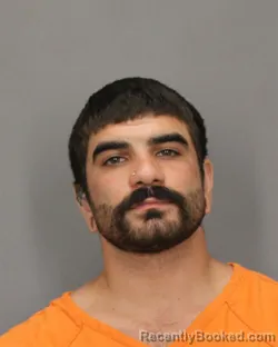 Mugshot of Adem T Gunaydin booked in Salem County, New Jersey on August 17, 2026