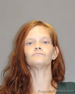 Mugshot of Kerrilynn M Mcdonald booked in Salem County, New Jersey on August 25, 2026