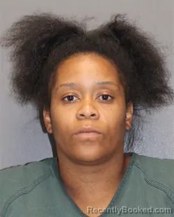 Mugshot of Ebony E Gomez booked in Salem County, New Jersey on August 26, 2026