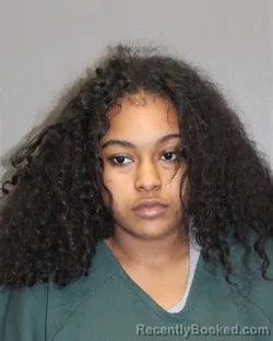 Mugshot of Anaijah K Harvey-Dobson booked in Salem County, New Jersey on August 28, 2026
