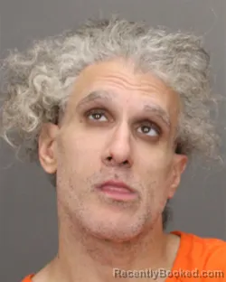 Mugshot of Michael J Palmer booked in Salem County, New Jersey on October 4, 2026