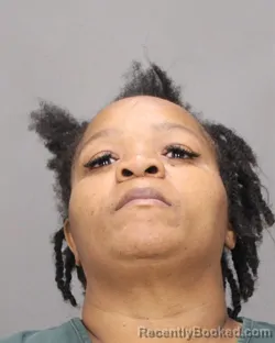 Mugshot of Chicana L Brown booked in Salem County, New Jersey on October 10, 2026