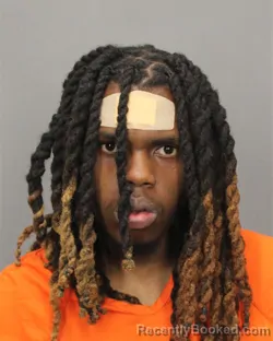 Mugshot of Marquaan L Lewis Mcgill booked in Salem County, New Jersey on October 13, 2026