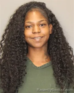 Mugshot of Beyonce L Jackson booked in Salem County, New Jersey on October 18, 2026