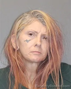 Mugshot of Danielle M Bushie booked in Salem County, New Jersey on October 20, 2026