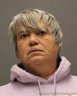Mugshot of Tammy L Pierson booked in Salem County, New Jersey on October 21, 2026