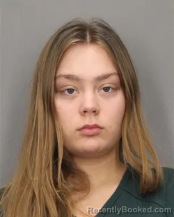 Mugshot of Destiny R Chorney booked in Salem County, New Jersey on October 28, 2026