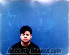 Booking photo from Arkansas County, Arkansas