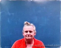 Mugshot of Lisa Marie Stivers