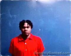 Mugshot of Patrick D Johnson